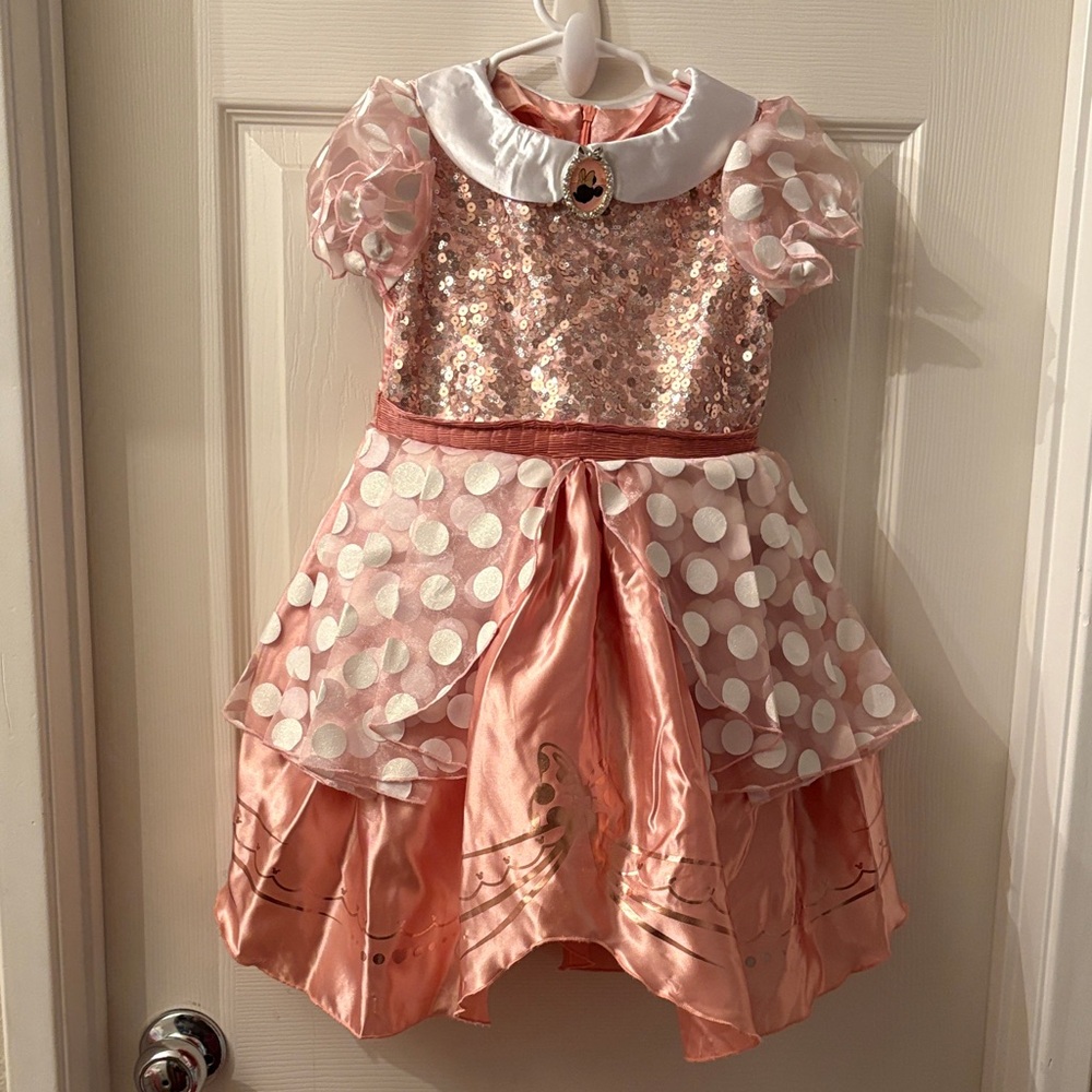 Minnie Mouse Costume